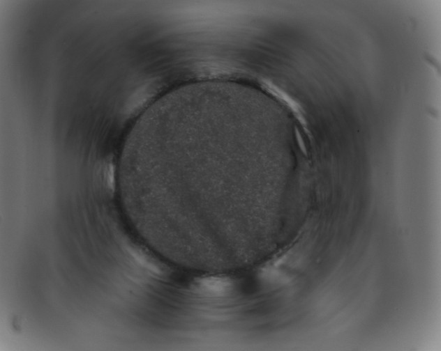 X0000091340067200708311504