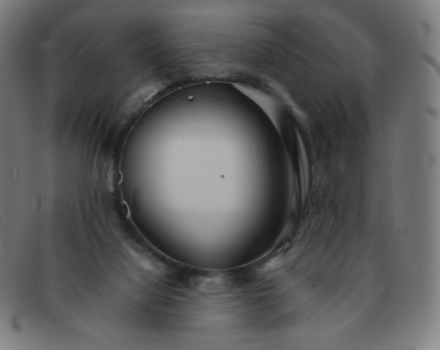 X0000091340068200708311504