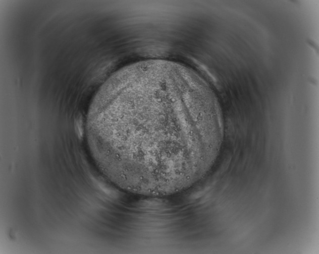 X0000091340069200708311505