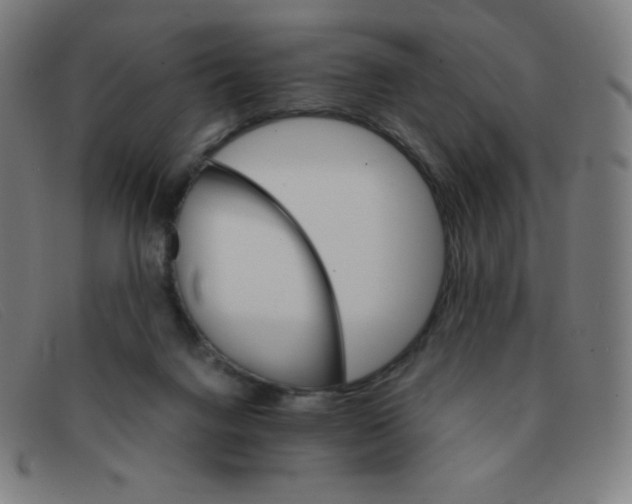 X0000091340072200708311505