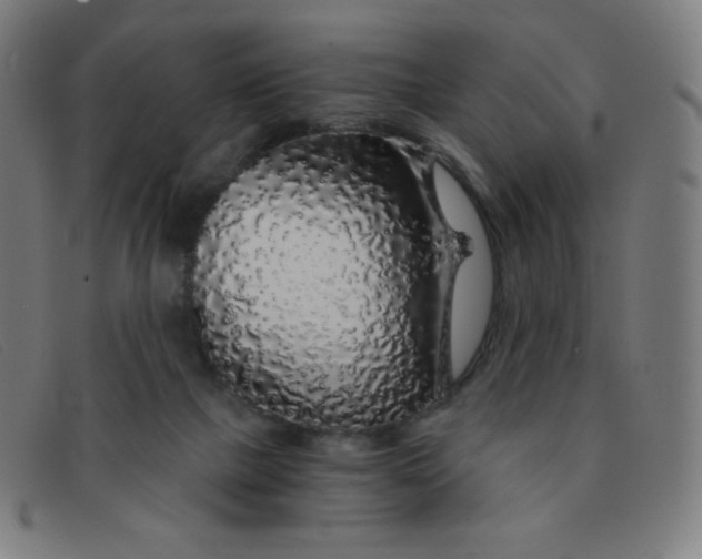 X0000091340073200708311505