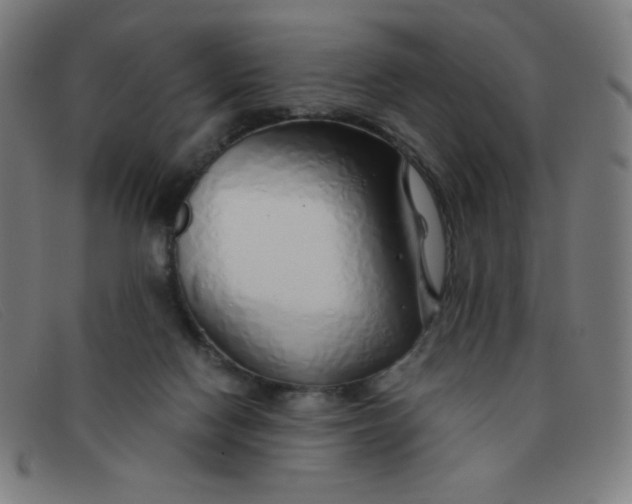 X0000091340074200708311505