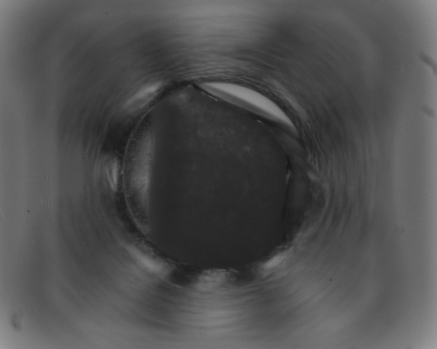 X0000091340076200708311505