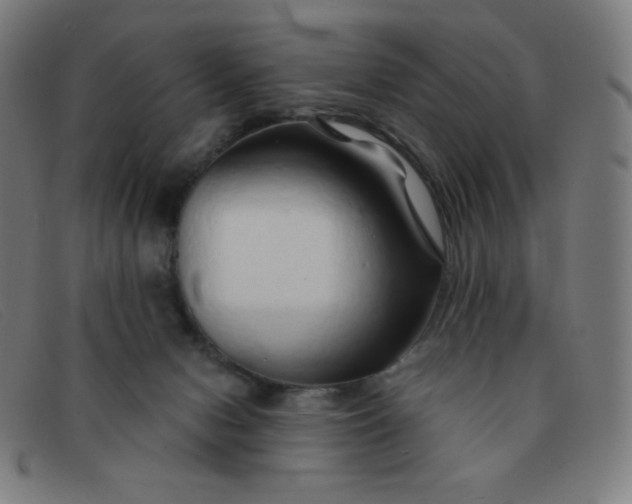 X0000091340078200708311505