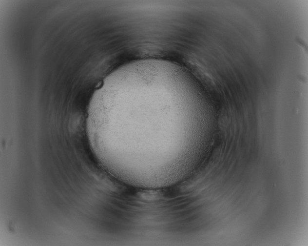 X0000091340079200708311505