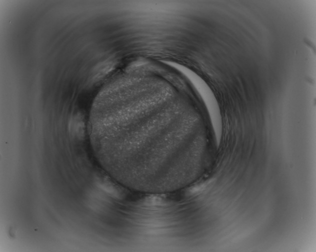 X0000091340080200708311505