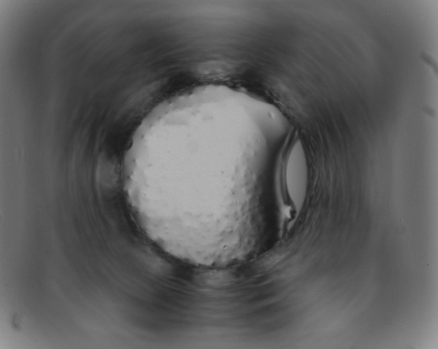 X0000091340081200708311505