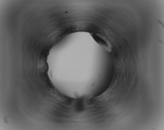 X0000091340082200708311505