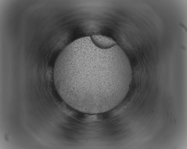 X0000091340083200708311505