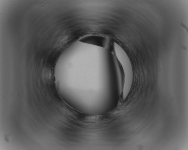 X0000091340084200708311505