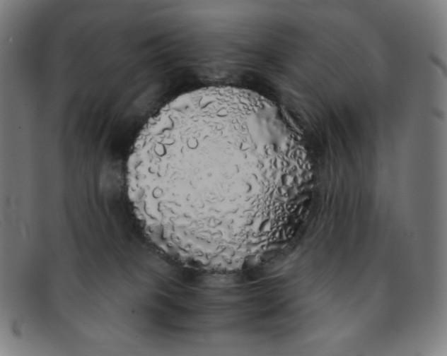 X0000091340085200708311505