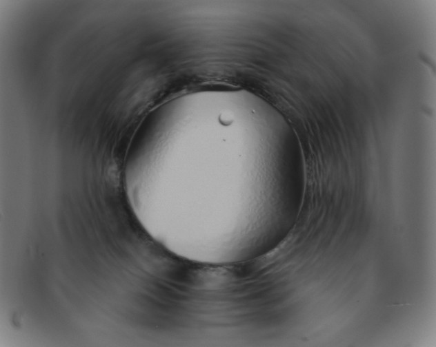 X0000091340086200708311505