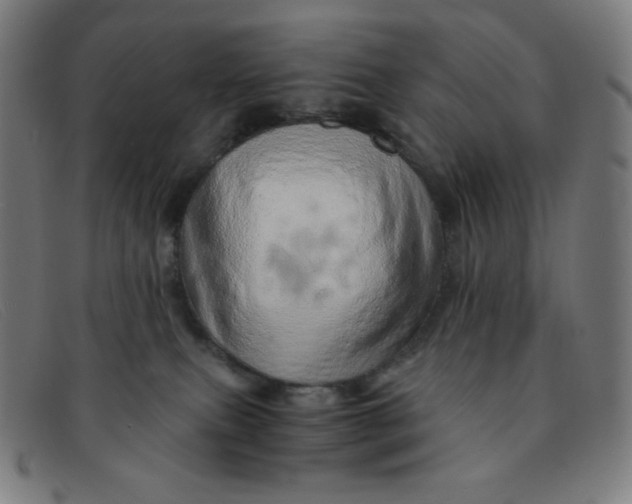 X0000091340087200708311505