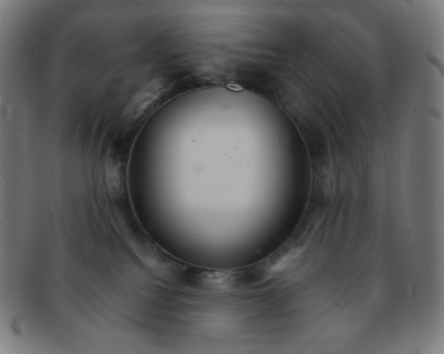 X0000091340088200708311505