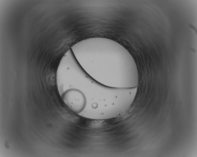 X0000091340090200708311505