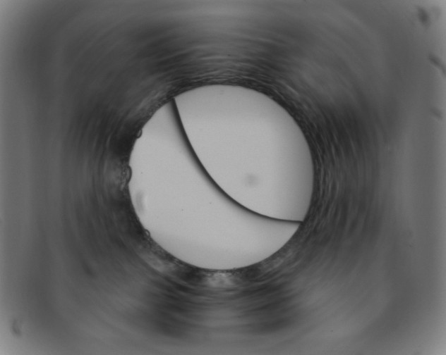 X0000091340091200708311505