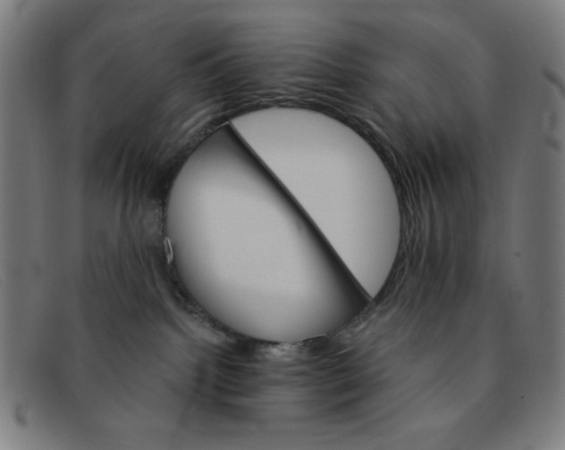 X0000091340092200708311505