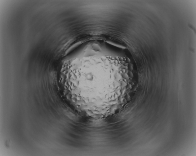 X0000091340093200708311505