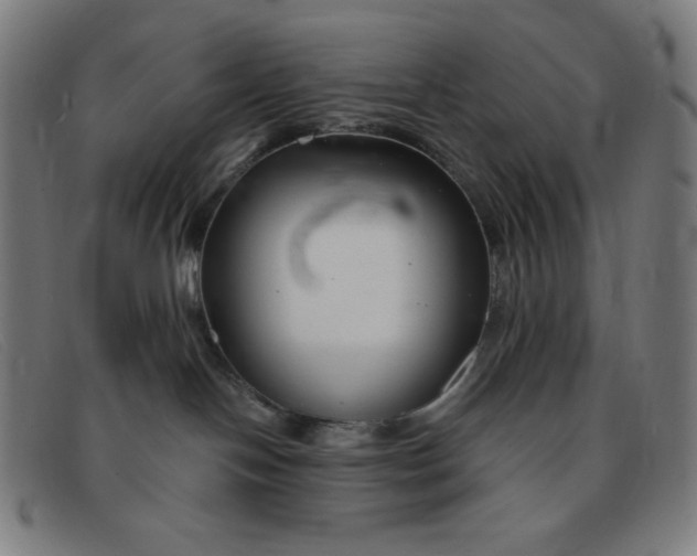 X0000091340094200708311505