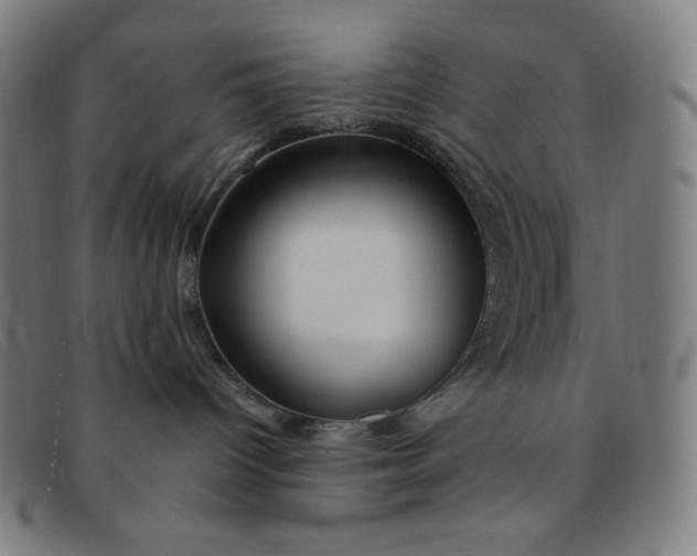 X0000091340096200708311505