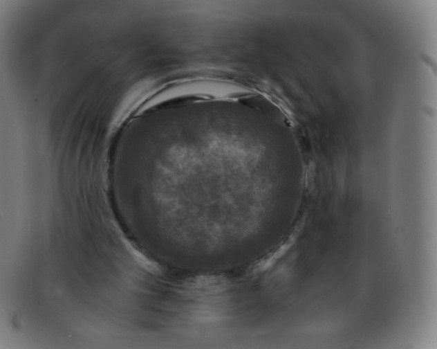 X0000091340101200708311504