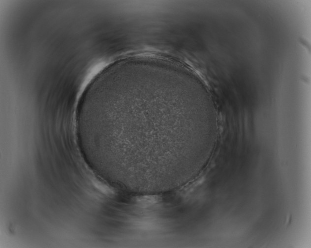 X0000091340102200708311504