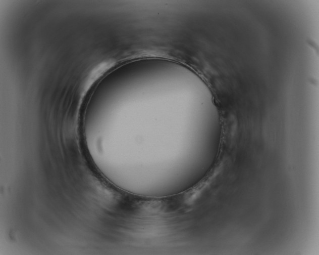 X0000091340104200708311504