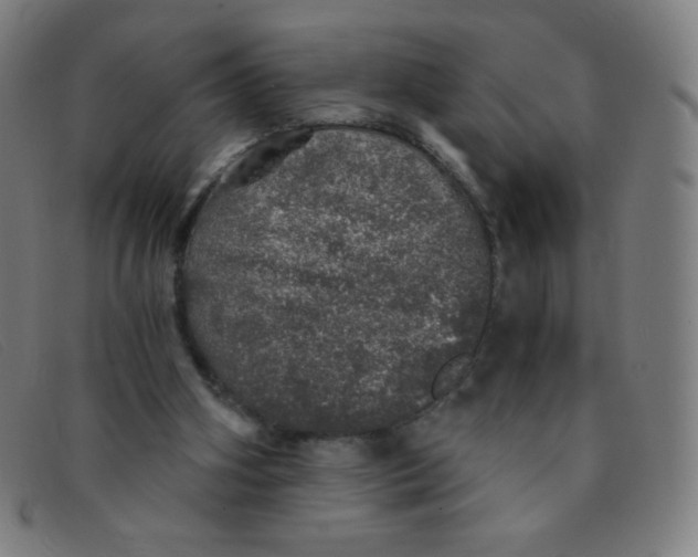 X0000091340106200708311504