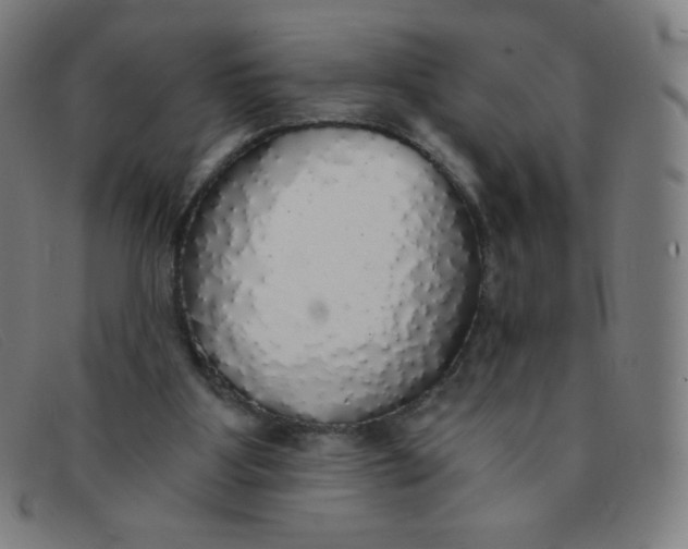 X0000091340107200708311504