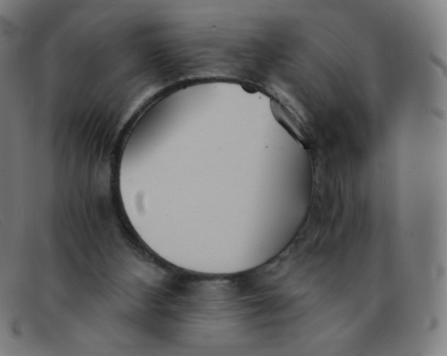 X0000091340108200708311504