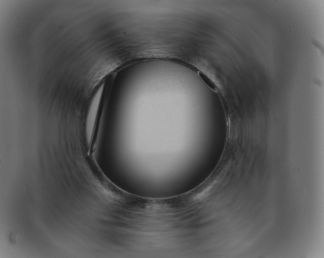 X0000091340109200708311504