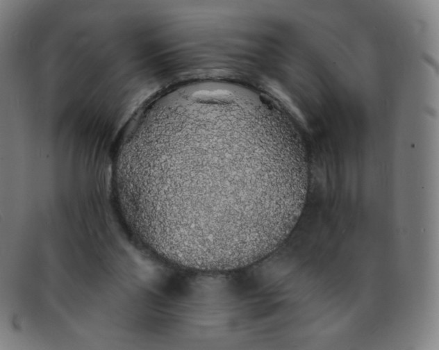 X0000091340110200708311504