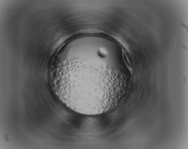 X0000091340111200708311504