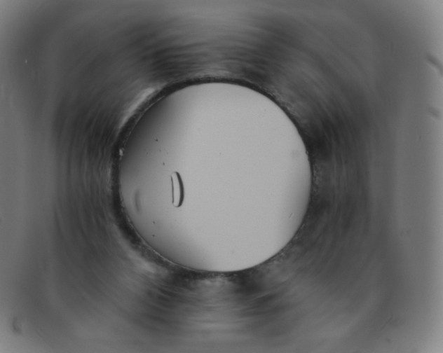 X0000091340112200708311504