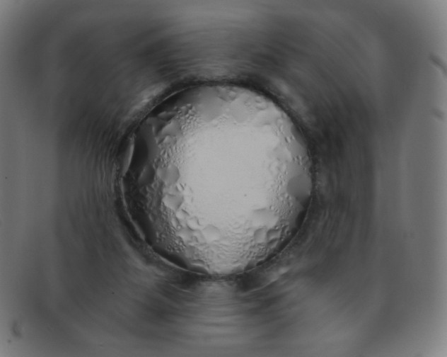 X0000091340115200708311504