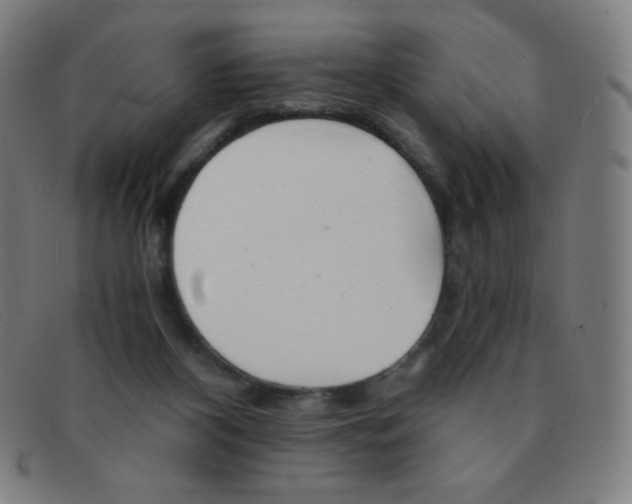 X0000091340116200708311504