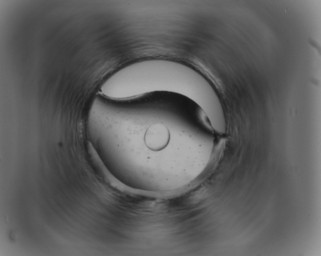 X0000091340117200708311504