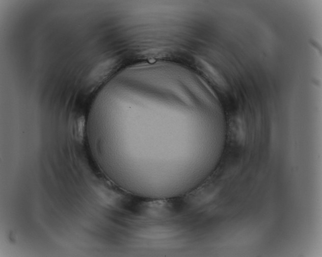 X0000091340118200708311504