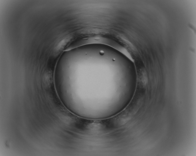 X0000091340119200708311504