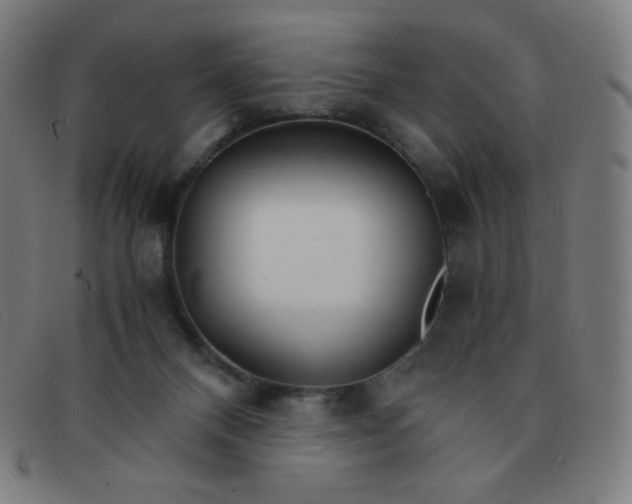 X0000091340120200708311504