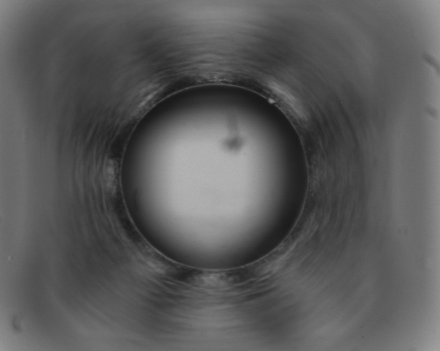 X0000091340121200708311504