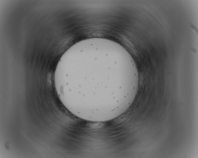 X0000091340122200708311504