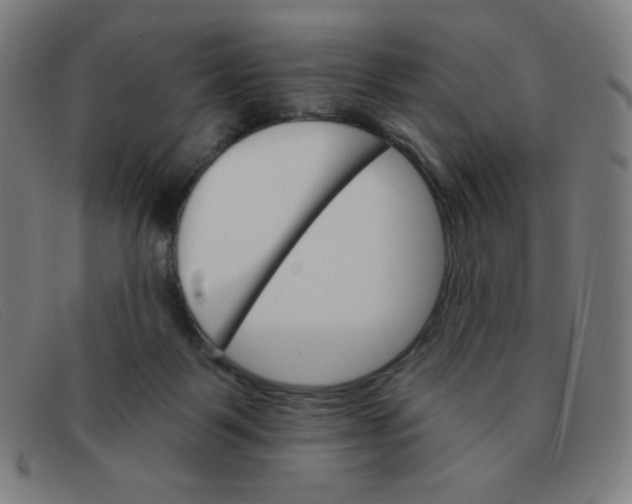 X0000091340123200708311504