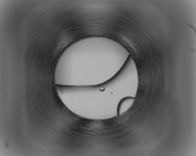 X0000091340124200708311504