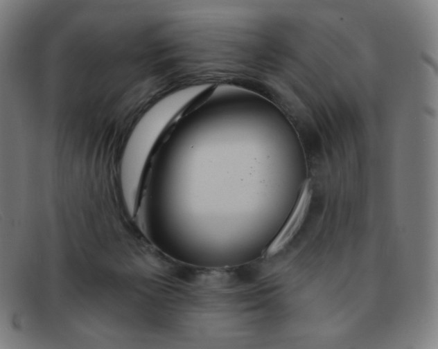 X0000091340125200708311504