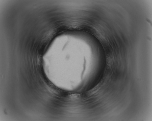 X0000091340126200708311504