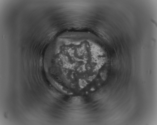 X0000091340127200708311504