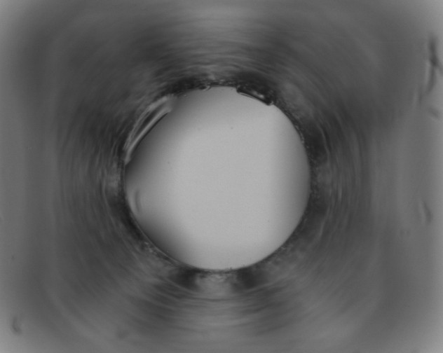 X0000091340129200708311504