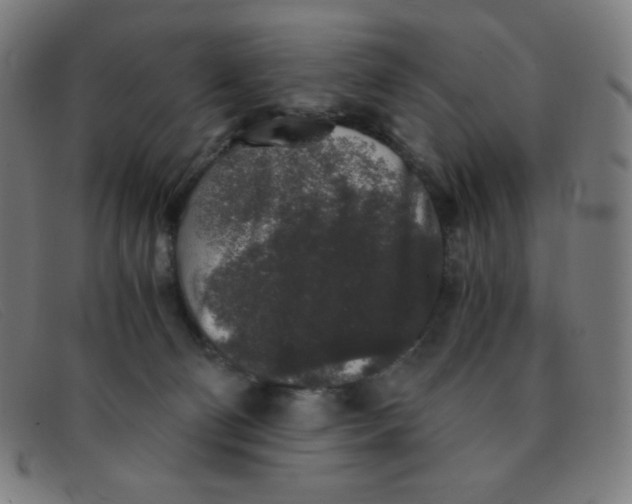 X0000091340130200708311504