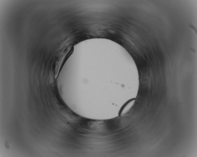 X0000091340132200708311504